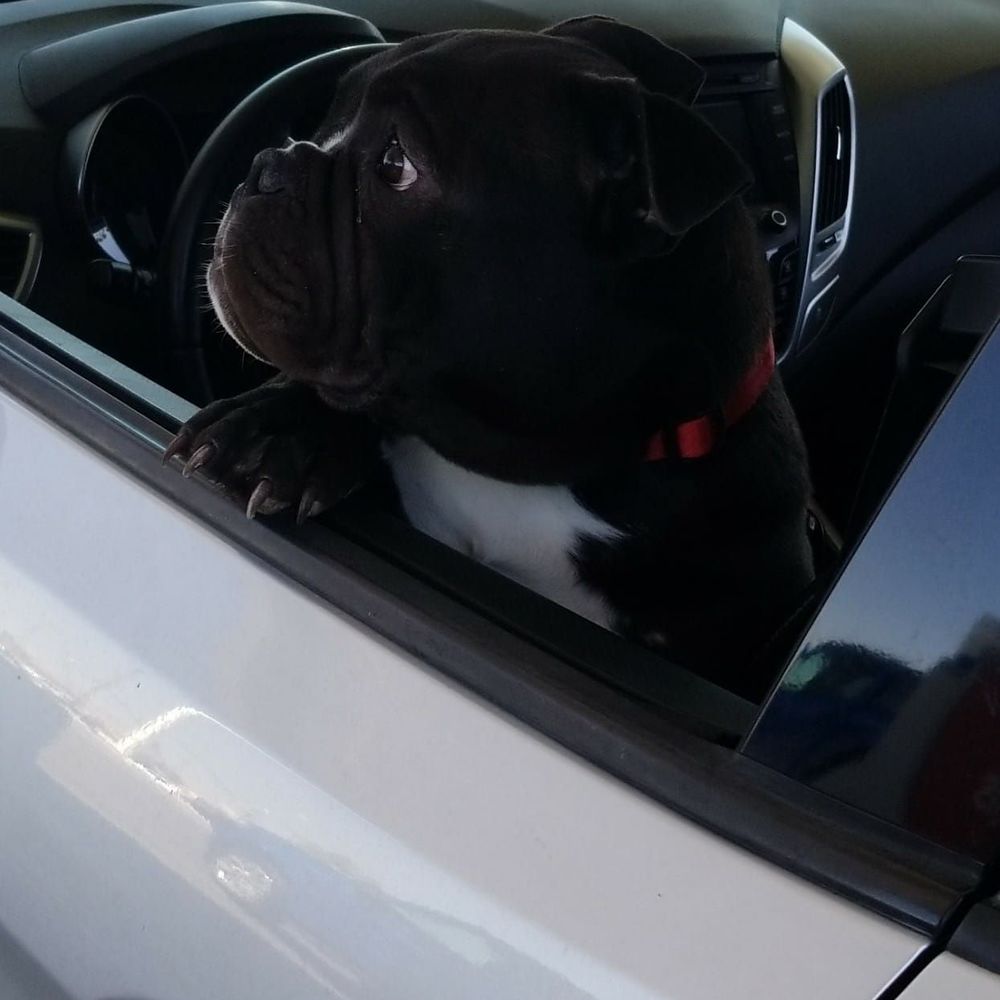 Meet your Posher, Manny